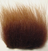 polar bear brown premium